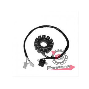 201.P431145002 STATORE SR - SCARABEO 50 DITECH