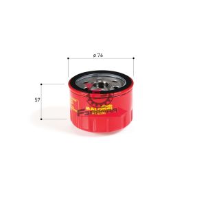 FILTRO OLIO HF184 MALOSSI