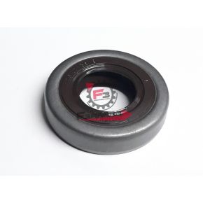 6.M730300830001 PARAOLIO 17.35.8 TB VITON