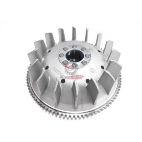 642204 ROTORE COMPLETO APE 50