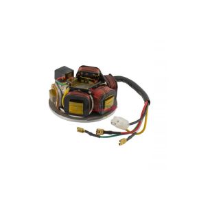 246350453 STATORE VESPA 125 T5