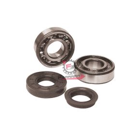 408350860 KIT REVISIONE ALBERO MOTORE