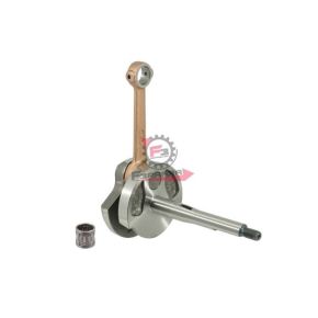 100010220 ALBERO MOTORE CIAO-SI SP.12 113708