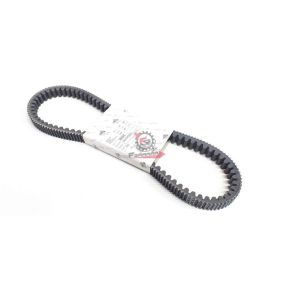 CINGHIA BEVERLY 300 4T 2021