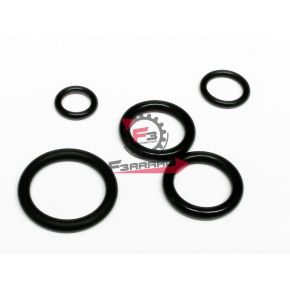 105.07010-KT KIT ANELLINI OR X SERIE PARAOLI