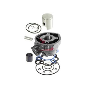 100081110 CILINDRO MINARELLI AM6 D.40,3 EVOK