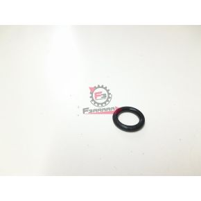 1A001055 ANELLO O-RING GTS / MEDLEY