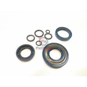 05696 PARAOLI MOTORE VESPA SP-PK C/OR (SR)