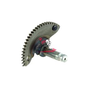 SETTORE MESSA IN MOTO PIAGGIO LIBERTY 125-VESPA ET4-HEXAGON 125