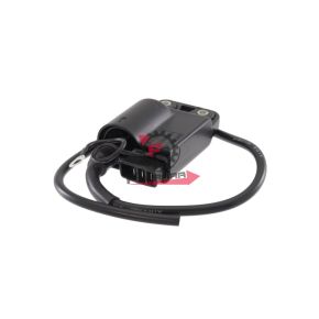 CENTRALINA ZIP VESPA ET2 50 638678 LIBERTY 638678