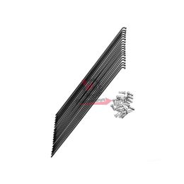 RAGGI 222X2,3 E-BIKE NERO (10PZ) CON NIPPLES