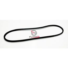 CINGHIA CIAO SENZA VARIATORE 1029052