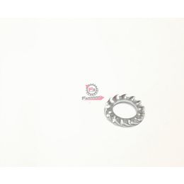 RONDELLA DENTELLATA MM. 8
