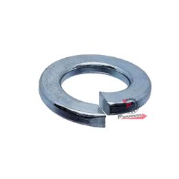 RONDELLA GROWER D. MM 8