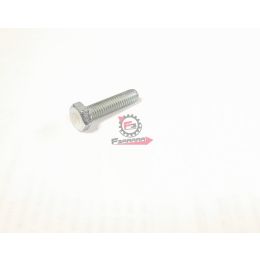 VITE 7 X 25 VITE ESAGONALE