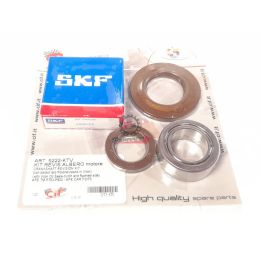 KIT REVISIONE BANCO APE TM 703 CON CUSCINETTI SKF E PARAOLI VITON ape car p2 p3 