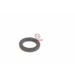 PARAOLIO PER CAMPANA FRIZIONE VARIATORE PIAGGIO CIAO - SI 13x19x3 OEM 008766