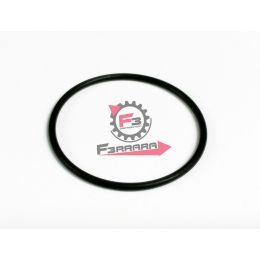 AP0430900 ANELLO O-RING POMPA ACQUA LEONARDO