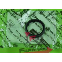 PARAOLIO RUOTA ANTERIORE APE TM 703