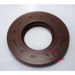 PARAOLIO ALBERO A CAMME APE DIESEL