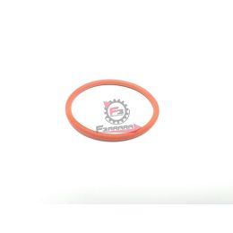 493009 ANELLO OR(INIETTORE)PIAG.PORTER D.