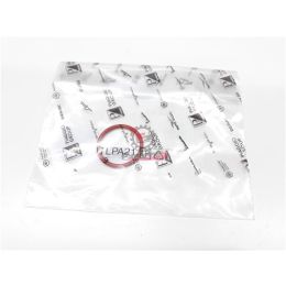 493906 ANELLO O RING QUARGO DIESEL