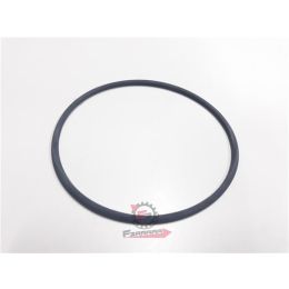 ANELLO ORING APE MP 601