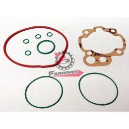 GR00715 GUARNIZIONI MOTORE AM345 D.40,3 (SR)