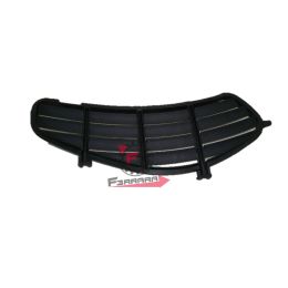 655.577857000C GRIGLIA DX BAULETTO VESPA GTS