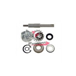 159.AA00813 KIT POMPA H2O HONDA PANTHEON 125/150