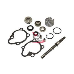 159.AA00815 KIT REVISIONE POMPA H2O KYMCO 150 4T