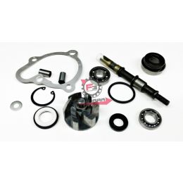 159.AA00816 KIT REVISIONE POMPA H2O KYMCO 250 4T