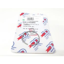 159.SG15585 SEGMENTI 43 X 1,2 GR/INTERNO DR (SR)