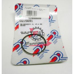 159.SG15691 SEGMENTI D47,4 X 1,5 GRANO ESTERNO