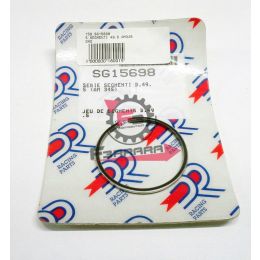 159.SG15698 SEGMENTI D 49,5 MINARELLI AM 345