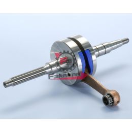 161.2100010 ALBERO MOTORE YAMAHA-MALAGUTI F10-12