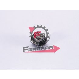 2800012 GABBIA BIELLA 12 17 15 PIAGGIO POLIN