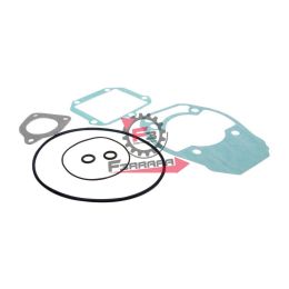 161.2090320 GUARNIZIONI ROTAX 127 APRILIA 125 SR