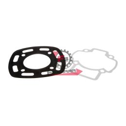 161.2090438 GUARNIZIONI D47 PIAGGIO PURE JET(SR)