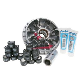 161.241636 VARIATORE PIAGGIO-GILERA 500 8 RULLI