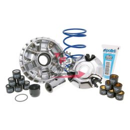 161.241681 VARIATORE PIAGGIO 9 RULLI 16