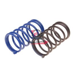 161.243010 MOLLE VARIATORE CIAO-SI (SR)