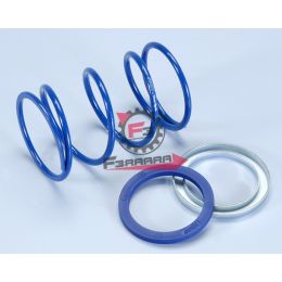 161.243090 MOLLA VARIATORE PIAGGIO D3,9