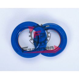 161.2850007 PARAOLI MOTORE MINIMOTO TEFLON (SR)