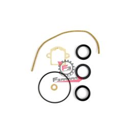 SERIE GUARNIZIONI CARBURATORE DELL'ORTO
