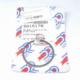 SEGMENTI 55 X 1,5 GR/INTERNO DR (SR)