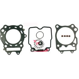 653.100689130 GUARNIZIONI SMERIGLIO BURGMAN 400