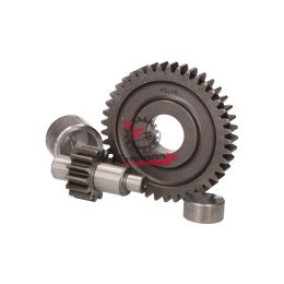 INGRANAGGIO SECONDARIO 14/41 BOOSTER POLINI