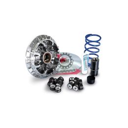 VARIATORE KIMCO AK 550 E4 17 POLINI