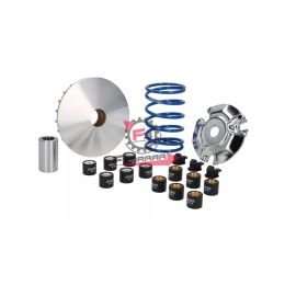 VARIATORE HI-SPEED PIEGGIO MEDLEY - VESPA GTS 125/150 POLINI